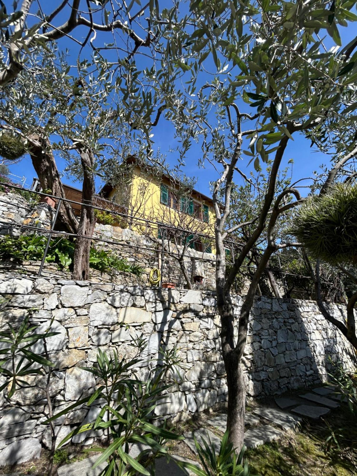 L'Alcova Tra Gli Ulivi By Portofinovacanze Zoagli Εξωτερικό φωτογραφία