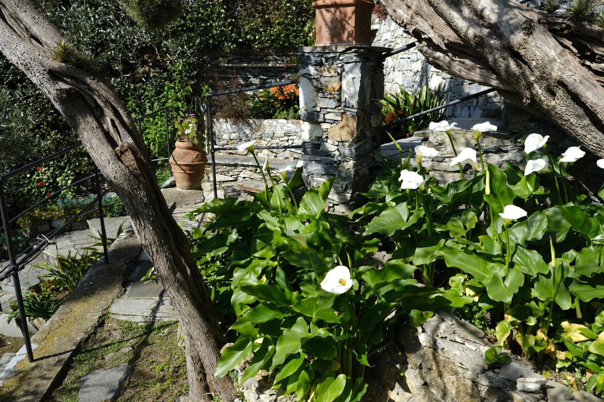 L'Alcova Tra Gli Ulivi By Portofinovacanze Zoagli Εξωτερικό φωτογραφία